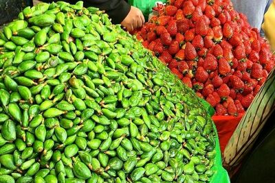گوجه سبز و چغاله بادام کیلویی چند میلیون؟/ میوه‌های نوبرانه دست نیافتنی شد