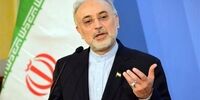 صالحی: حادثه نطنز خرابکاری بود/ سالن‌های متعدد و پیشرفته در دل کوه می‌سازیم
