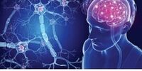 این علائم نشانه اولیه ابتلا به ام اس است 
