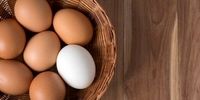 تخم مرغ قهوه‌ای ارزش غذایی بالایی دارد؟