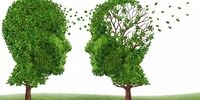با این ماده غذایی مغز خود را جوان نگه دارید 