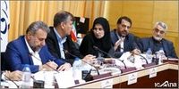 بررسی شکایت ایران از آمریکا به لاهه با حضور معاون حقوقی رئیس جمهور