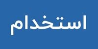 استخدام نیروهای پیمانکاری در دولت جدی می شود؟
