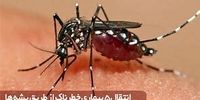 هشدار جدی نسبت به وضعیت نگران کننده مالاریا در کشور