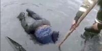 عکسی که باعث خجالت ایرانی ها شد