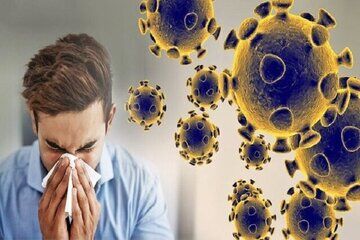 جولان کرونای جدید در کشور / ۴ علامت خطرناک و هشداردهنده/ این گروهها در معرض خطر بیماری هستند