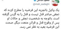 فرضیه جدید: نجفی قاتل نیست ولی به گردن گرفته است