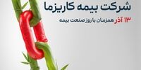"بیمه زندگی کاریزما" در یک قدمی پذیره‌نویسی