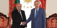 دیدار و گفتگوی اردوغان با همتای الجزایری در استانبول