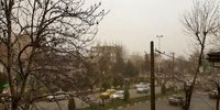 وزش باد شدید در تهران/ پایتخت نشینان مراقب باشند