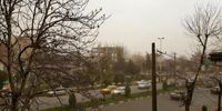 وزش باد شدید در تهران/ پایتخت نشینان مراقب باشند