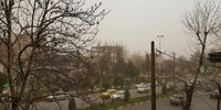 وزش باد شدید در تهران/ پایتخت نشینان مراقب باشند