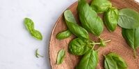 این سبزی خوشبو پشه‌ها را از شما دور می کند