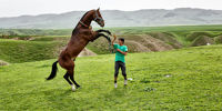 گران‌ترین مسابقه اسب سواری در عربستان