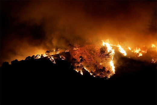 هشدار نسبت به حریق کوه خامی / سرعت سرایت آتش بالا گرفت
