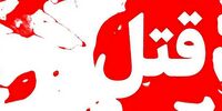 جزئیات قتل زن سالخورده در یوسف‌آباد تهران