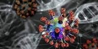 این افراد به قارچ سیاه مبتلا می شوند!