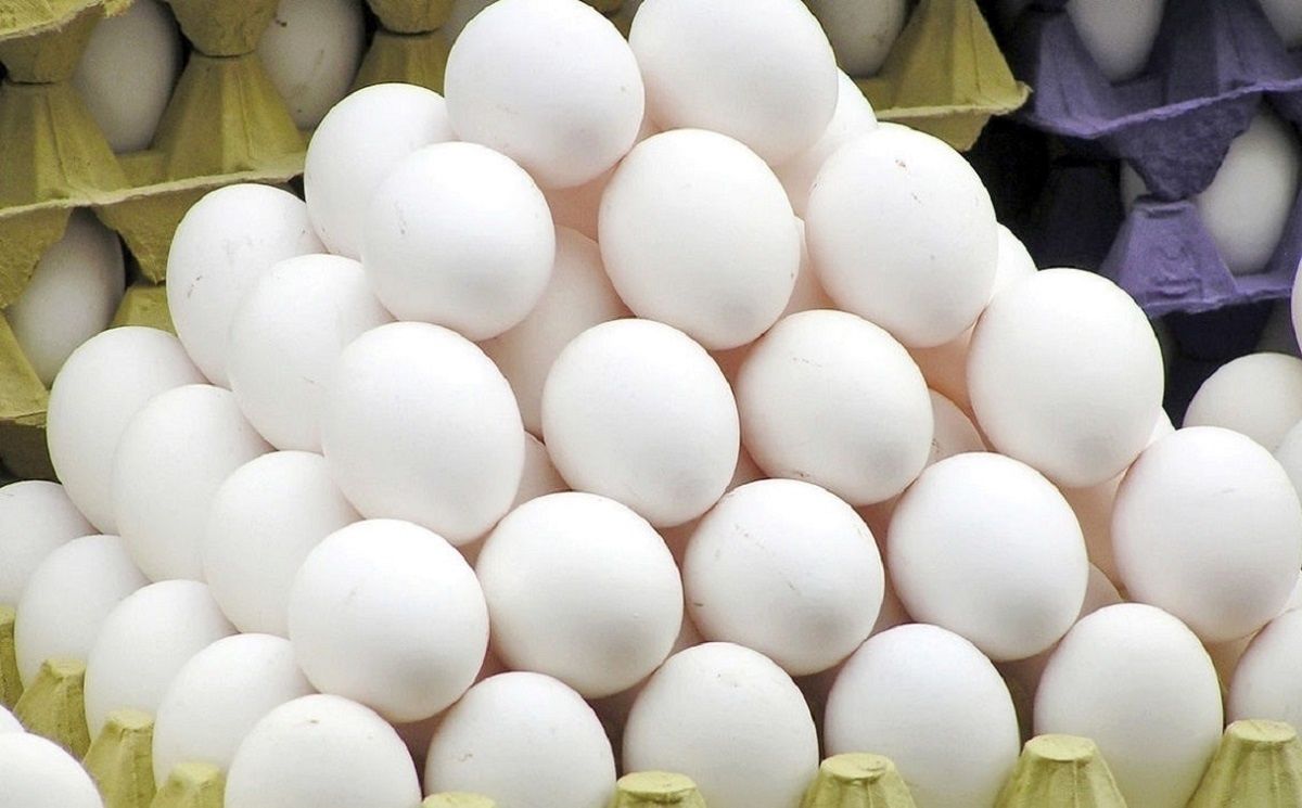 نرخ مصوب تخم مرغ اعلام شد
