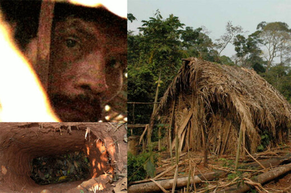 مرگ تنهاترین مرد جهان در یک جنگل + فیلم