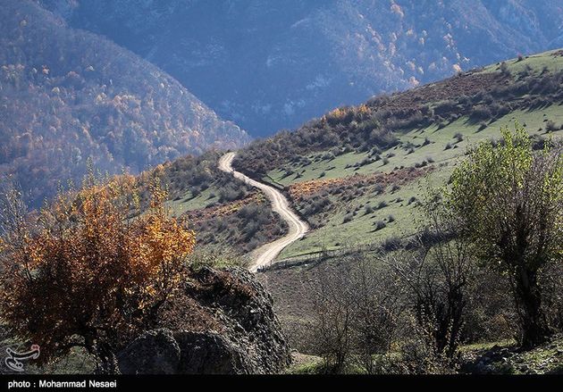 پاییز هزار رنگ در گرگان