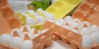 هشدار! فقط تخم‌مرغ‌هایی را بخرید که در یخچال نگهداری می‌شود