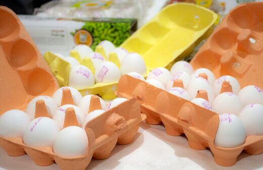 هشدار! فقط تخم‌مرغ‌هایی را بخرید که در یخچال نگهداری می‌شود