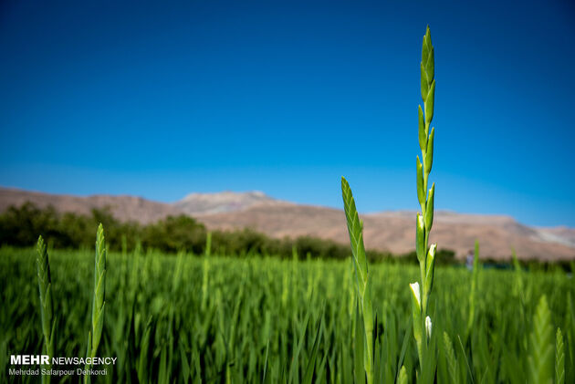 3842011_MSD_3959