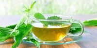 بهترین دمنوش‌ها برای درمان سریع عفونت ادراری