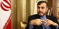 امیر عبداللهیان خطاب به بورل:
در مذاکرات وین از خطوط قرمز خود عقب نشینی نخواهیم کرد