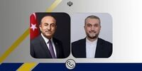چاوش اوغلو و امیرعبداللهیان درباره چه موضوعی گفت‌وگو کردند؟
