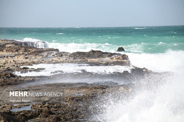 4065028_IMG_7016_resize