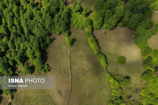 62247421_DJI_0362
