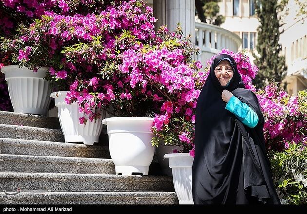 در حاشیه جلسه هیات دولت