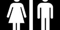 تفکیک جنسیتی آغاز شد+عکس