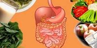 معجزه این گیاه برای پاکسازی بدن