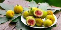 این میوه هم تب بر است هم از بدن سم زدایی می کند 
