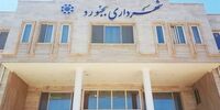 یک انتصاف فامیلی دیگر/ مادر زن مشاور داماد!