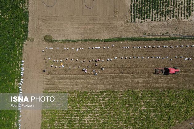 62351828_DJI_0248