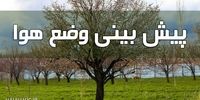 بارش باران و رگبار در این استان ها/ پیش بینی آب و هوا ایران 25 فروردین 1401
