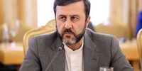 غریب‌آبادی: موضوع هسته‌ای بهانه است / ایران توانست ضربات سنگین و دردناکی را به اسرائیل و آمریکا وارد کند