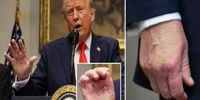 در صورت وقوع فاجعه برای ترامپ آماده رهبری آمریکا هستم