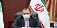 خبر مهم وزیر اقتصاد از شناسایی چندهزار مودی که ‎فرار مالیاتی داشتند 