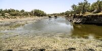 اختلاف اهالی روستای حمیدیه بر سر تانکرهای آبرسان