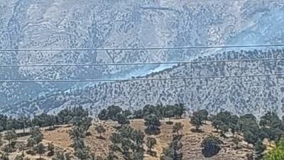 جنگل‌های کوه سیاه در آتش می‌سوزند/ بخشدار درخواست کمک کرد