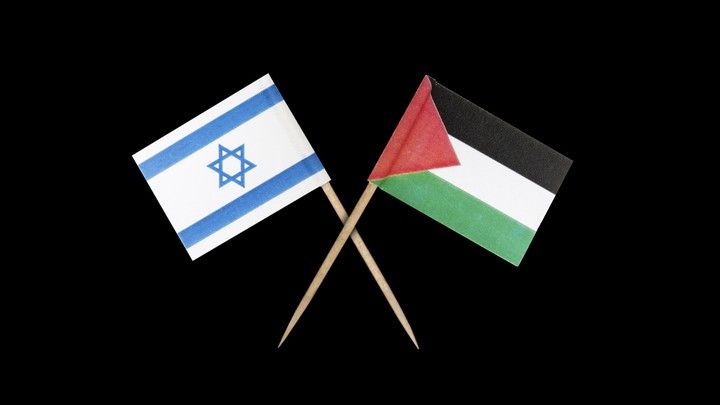نماینده پارلمان آلمان در تظاهرات حامیان فلسطین کتک خورد +فیلم