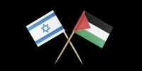 نماینده پارلمان آلمان در تظاهرات حامیان فلسطین کتک خورد +فیلم