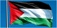 انتقاد شدید مقام ایرلندی از سیاست دوگانه غرب/ چرا همانند اوکراین، فلسطینی‌ها را مسلح نمی‌کنیم؟