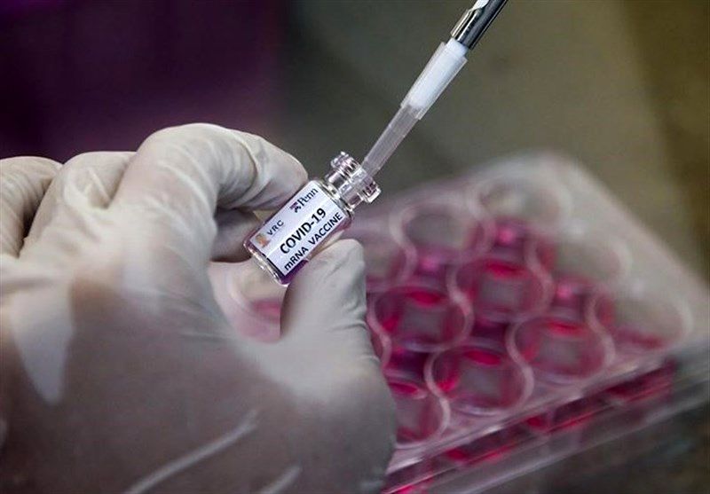 واکسن کرونای فایزر ۶ کشته برجای گذاشت
