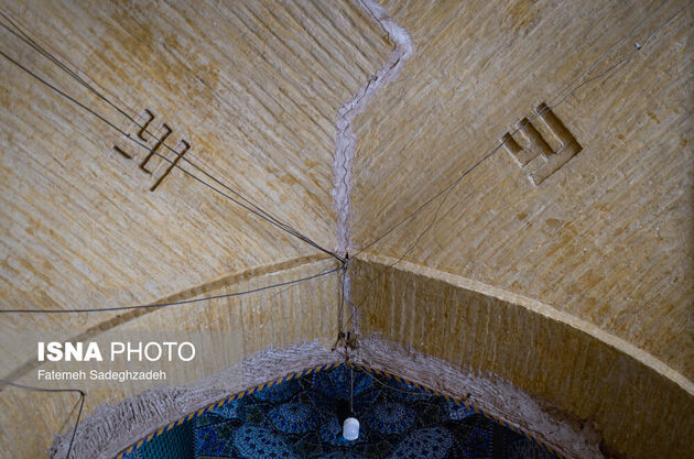 62254599__DSC6270