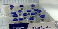 خبر مهم درباره دومین واکسن ایرانی کرونا 
